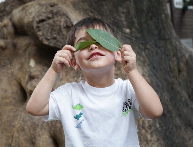 Un niño jugando con hojas junto al árbol